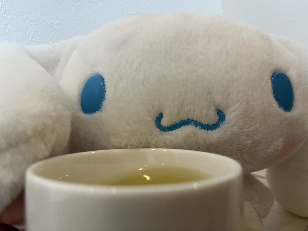 シナモンと喫茶店に行く人 tweet media