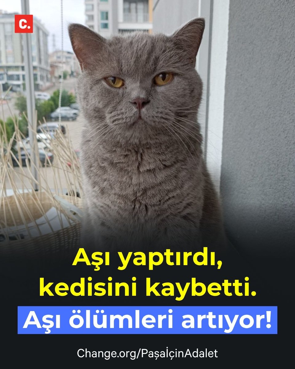 Change.org Türkiye tweet media