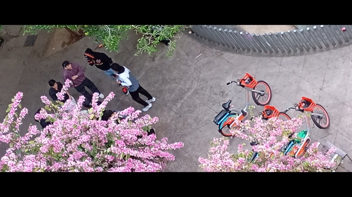 Trio el silenci tweet media