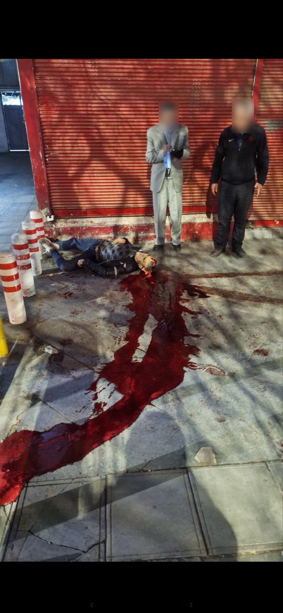 🇮🇷پروا tweet media