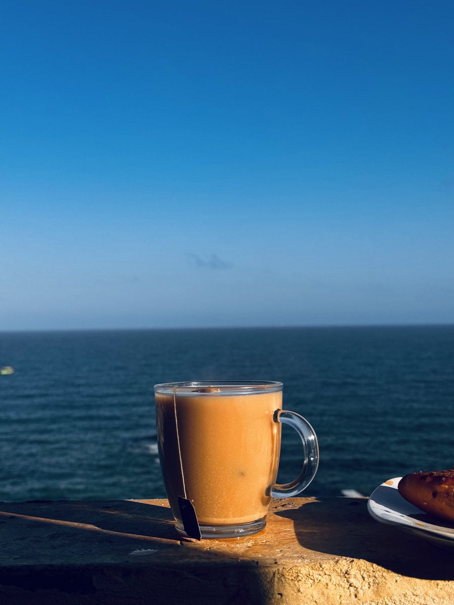 المتخربش من القط البرتقاني 😭🐈 tweet media