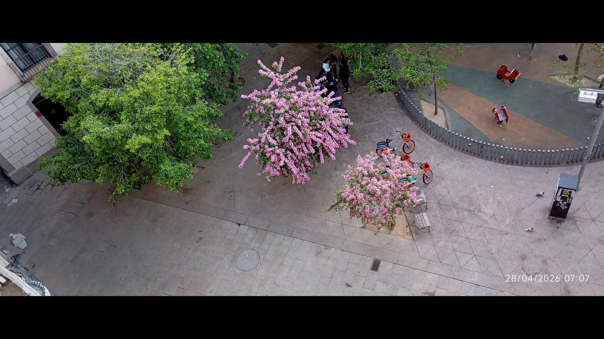 Trio el silenci tweet media