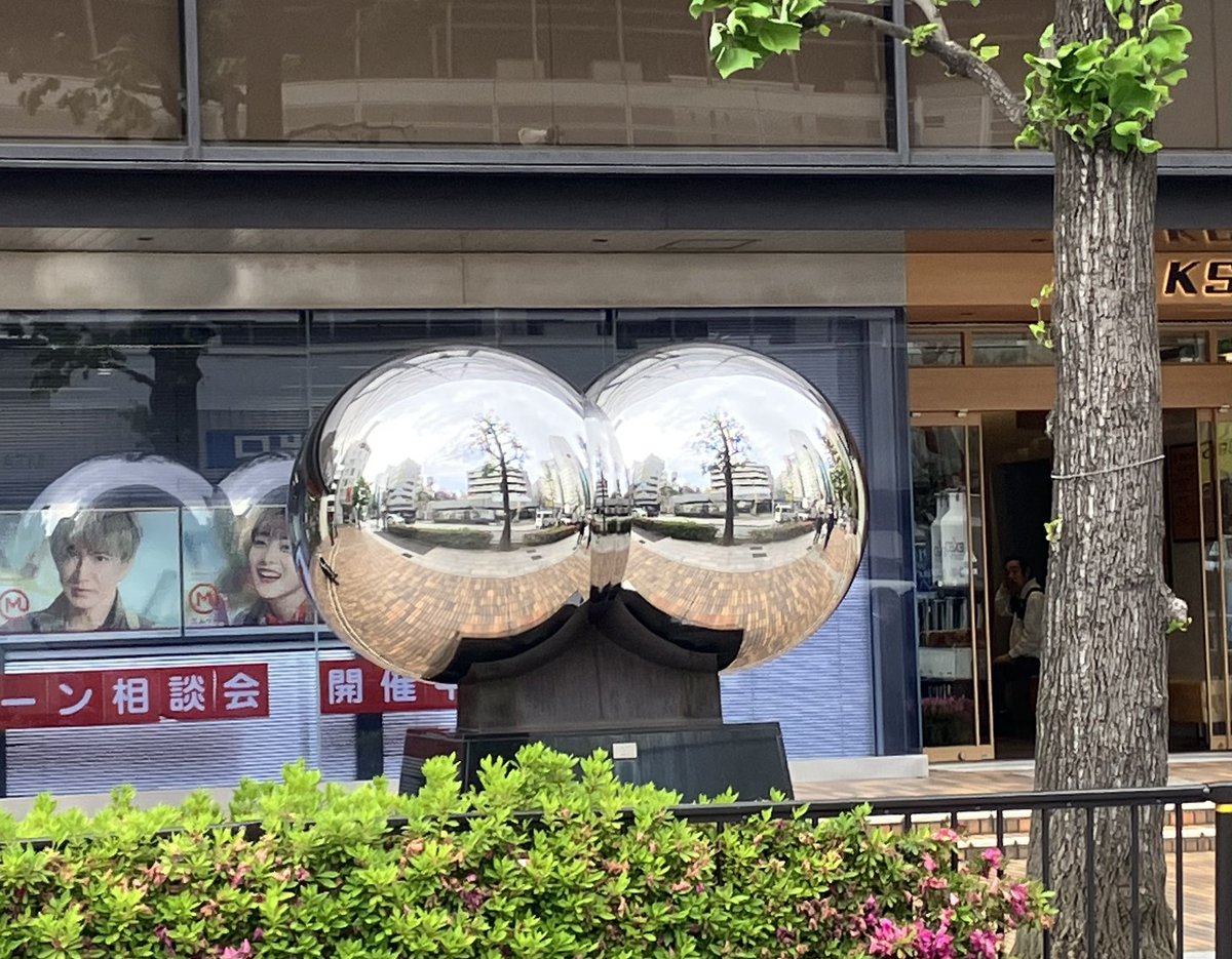 ゆらゆら tweet media