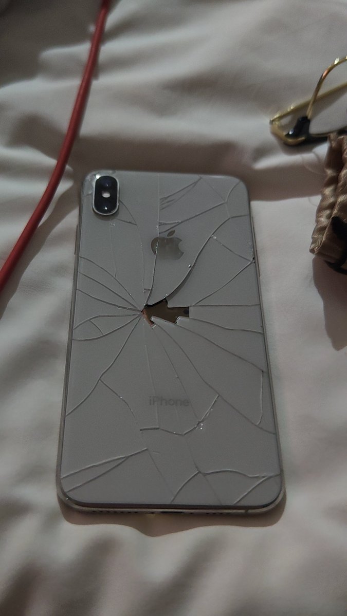 圆头小海豚 tweet media