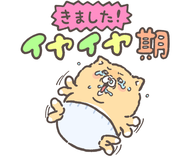 モフ缶 tweet media
