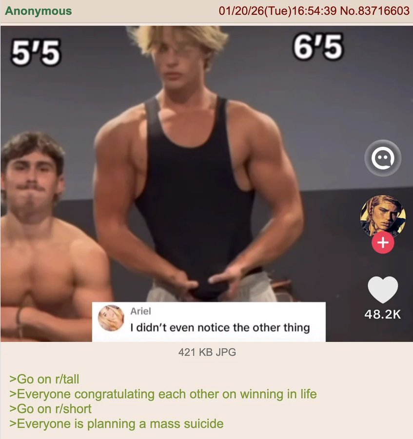 The 4Chan Archives tweet media