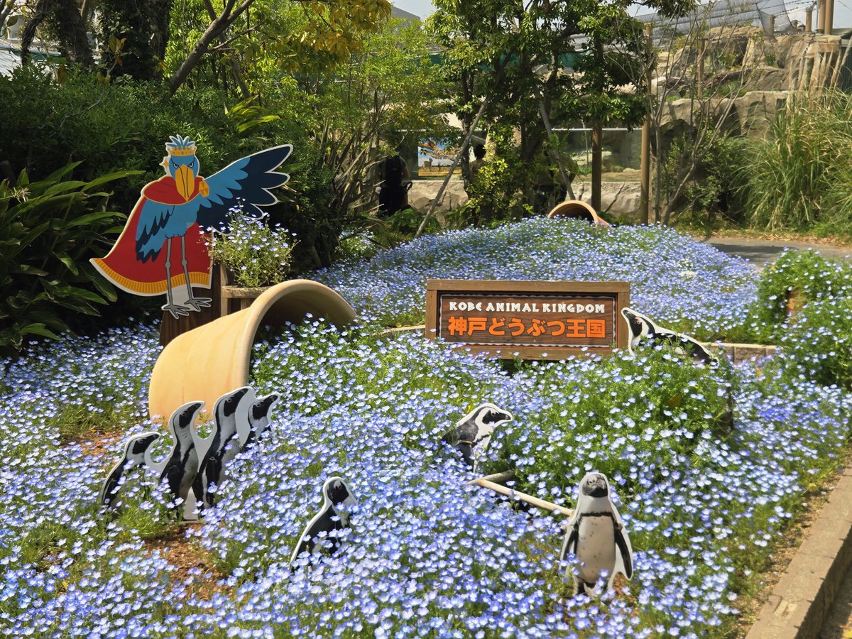 チベット喜多キツネ tweet media