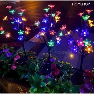 homehopindia's tweet image. Homehop Solar Multicolour Flower Lamp adds colorful charm to gardens, balconies &amp;amp; pathways with auto night glow.
Amazon- amzn.to/3sYGMlW
#HomeHop #SolarLight #SolarGardenLight #PatioDecor #EcoFriendlyLiving #WaterproofLights #OutdoorDecor #FlowerLamp #HomeDecorIdeas