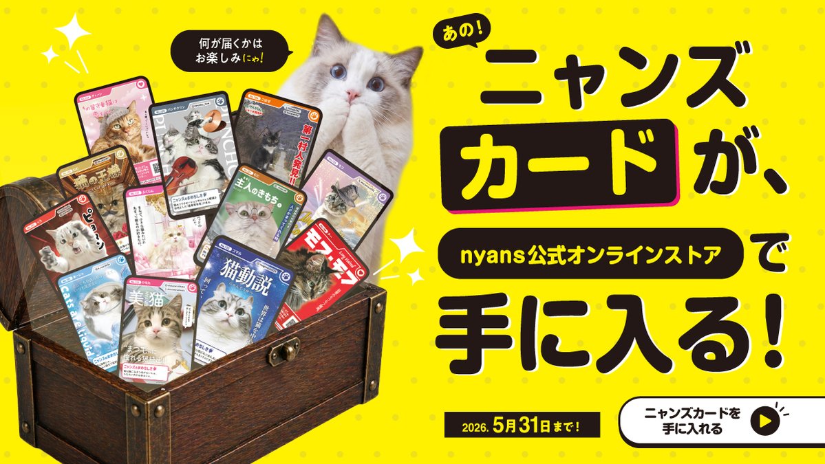 猫のためのnyans【公式】 tweet media