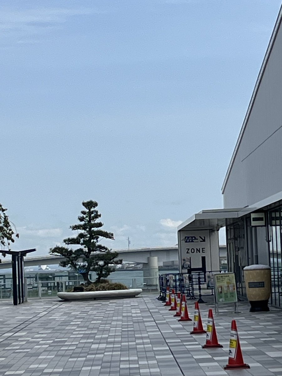 kingluv3939's tweet photo. 早くきて羽田空港でゴハンしよーって思ってZepp横トイレ行って写真撮った時 ポケットからSuica落としたな😭なくなっちゃった今月ついてないな
ライブに救っていただこう
#Tempaley_FH
#Tempalay
@tempalay https://t.co/u2ySDW0mB8