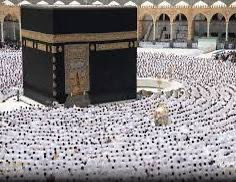 عقيًل بن محمد العقيًل( أبو أنس) tweet media