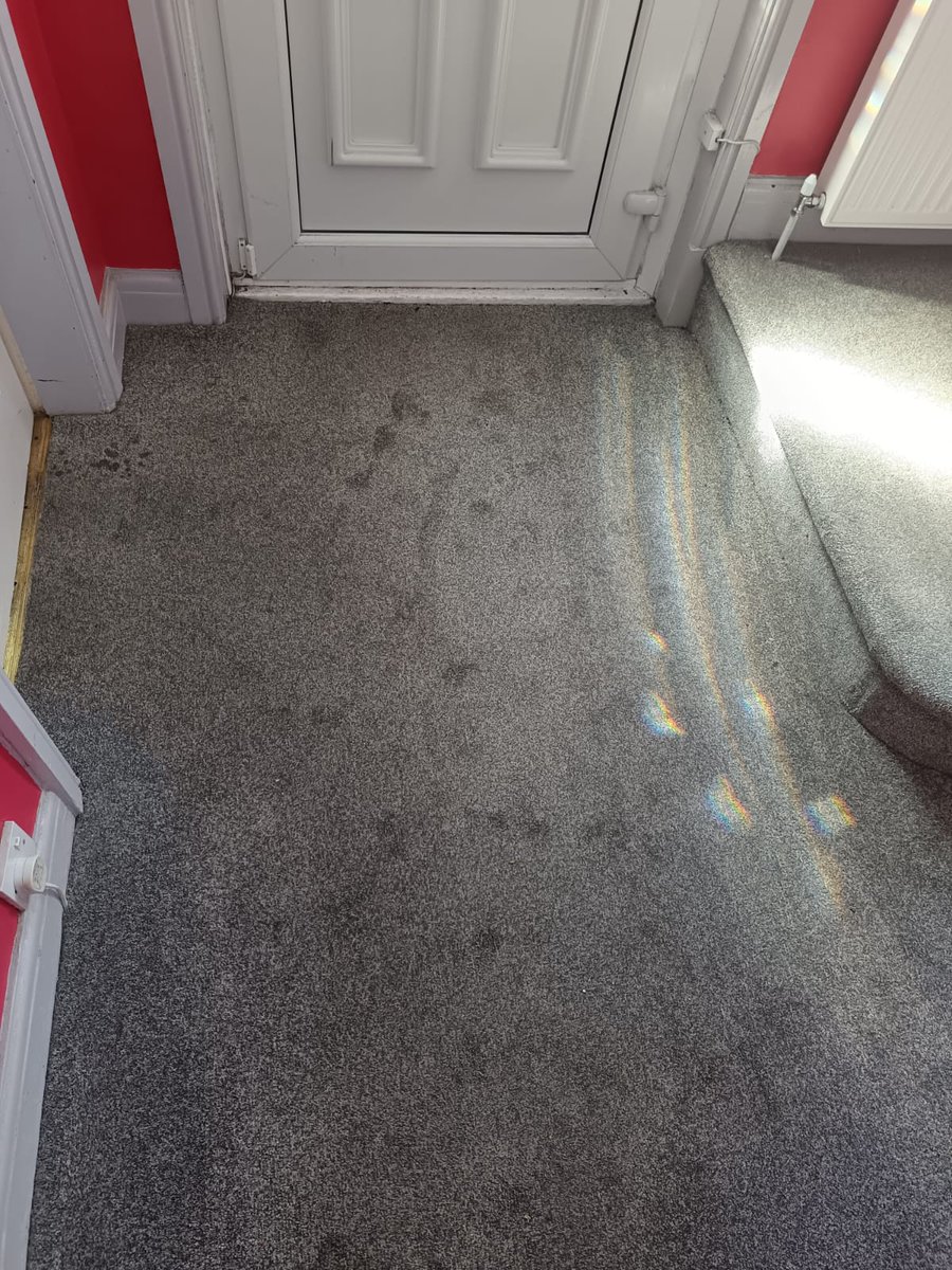 ManchesterRug's tweet image. Stain-free carpets make for a smoother move! 🌈🚚 Our deep extraction methods revive carpets so well that they look brand new! Are you moving soon? Book your carpet cleaning with us and step into fresh spaces! 💖 #CleanCarpets #FreshSpaces #Manchester
wix.to/IgdqMWY