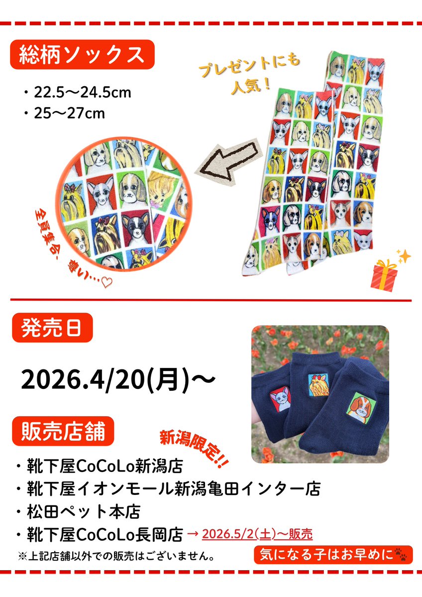 靴下屋CoCoLo新潟店 tweet media