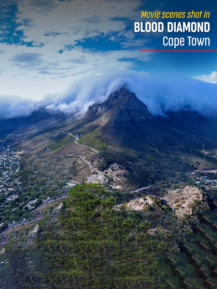 South African Tourism tweet media