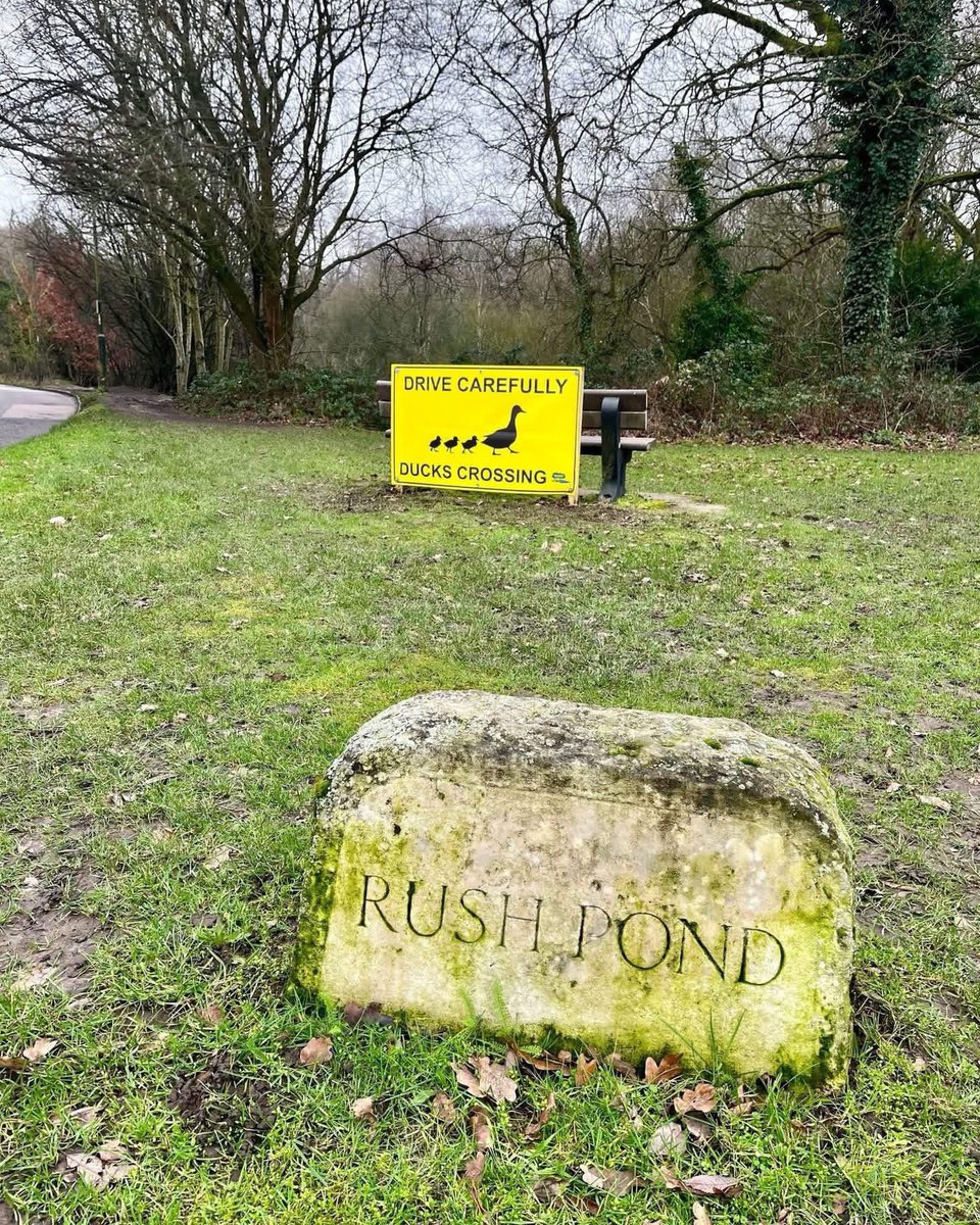 Visit Chislehurst tweet media