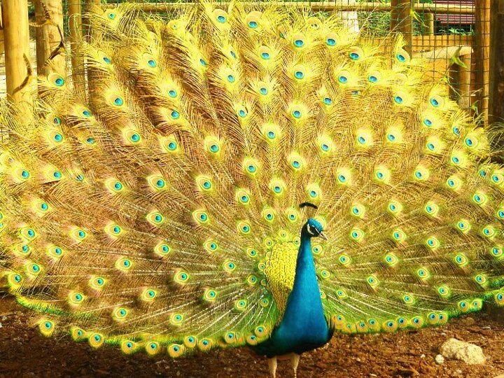 ꧁Ємилїѧ꧂ tweet media