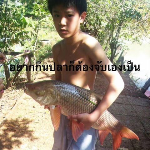 iam_suchanaxz2 tweet media