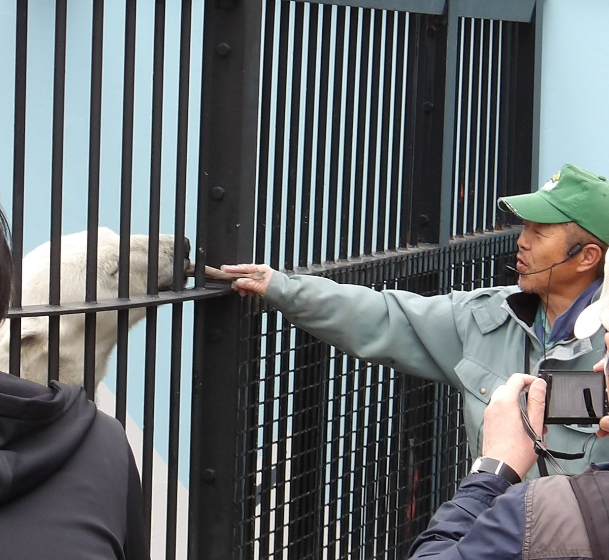 釧路市動物園 tweet media