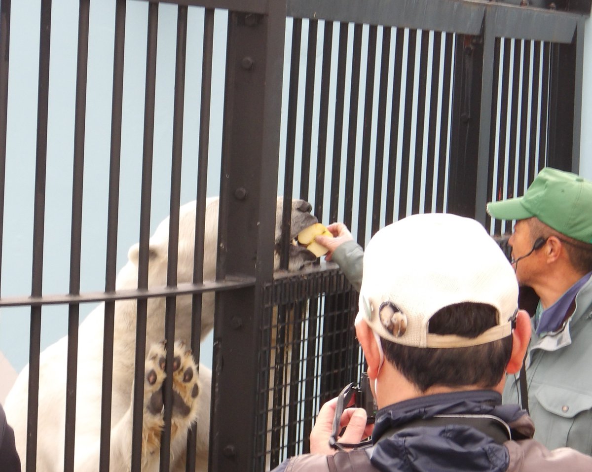釧路市動物園 tweet media