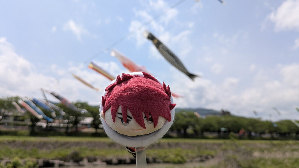hanamidori_ugu's tweet photo. 今回もちかねひらさんが着用している可愛い鯉のぼりさんは刀桜花様、撮影にとっても便利なもちもちて(スティック)はHighPlusMo様の作品です。
とっても楽しかったです♡
@tououka
@HighPlusMo_shop https://t.co/gf10OaZeBL