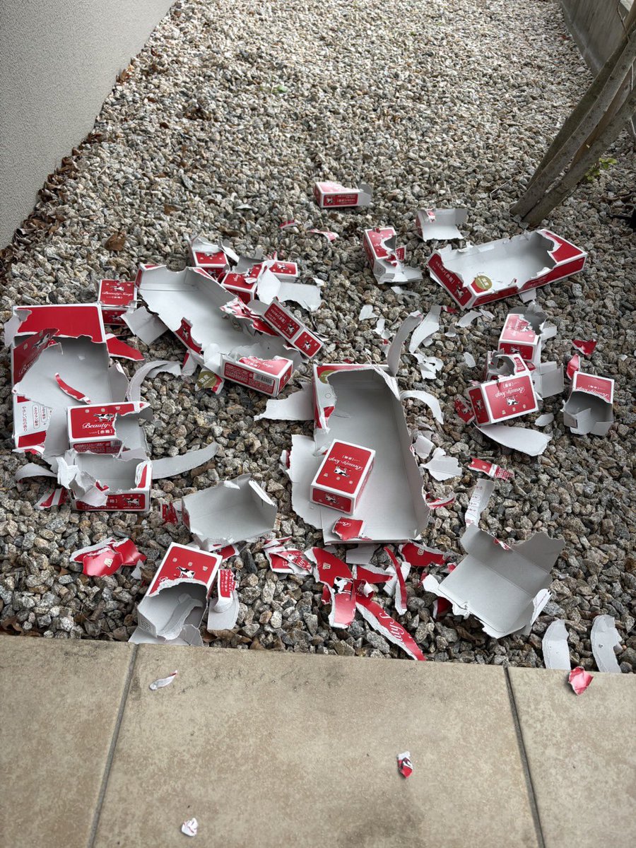 谷口亮 tweet media