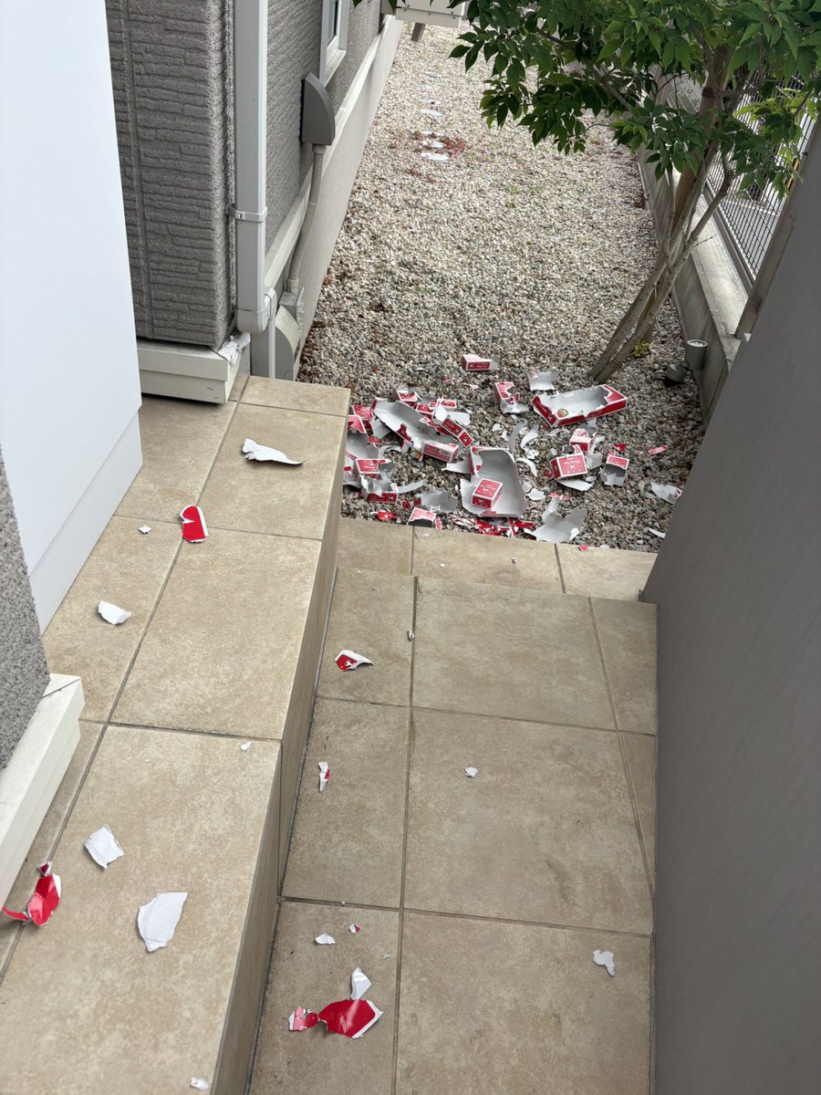 谷口亮 tweet media