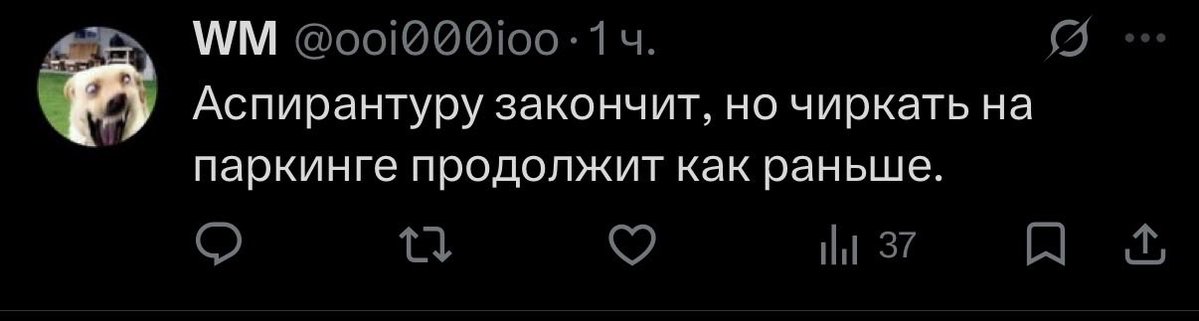 прибежище эос tweet media