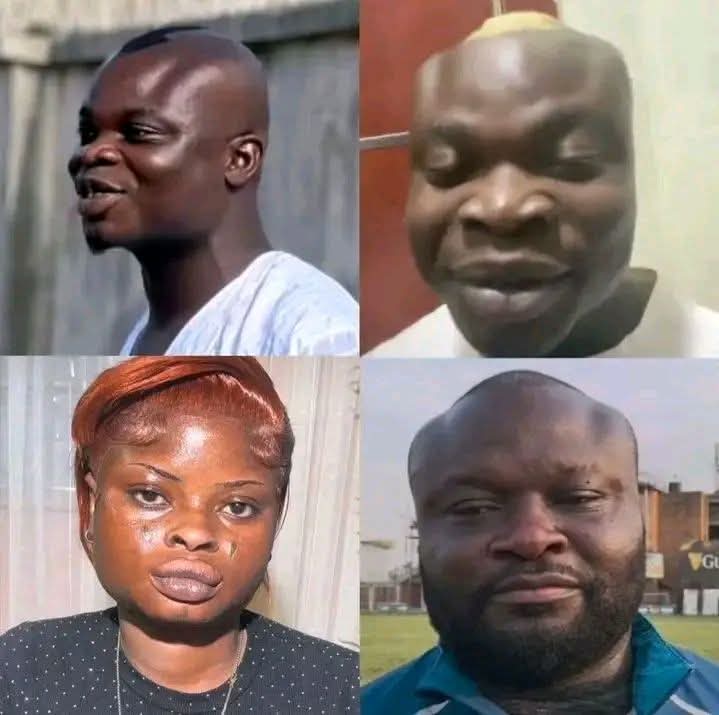 Olivia Sullivan tweet media