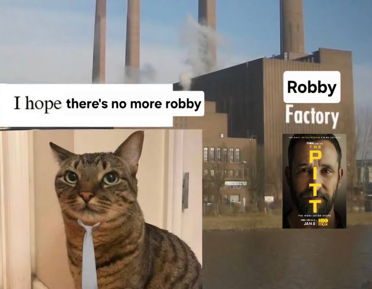 kishumi 🐇 tweet media