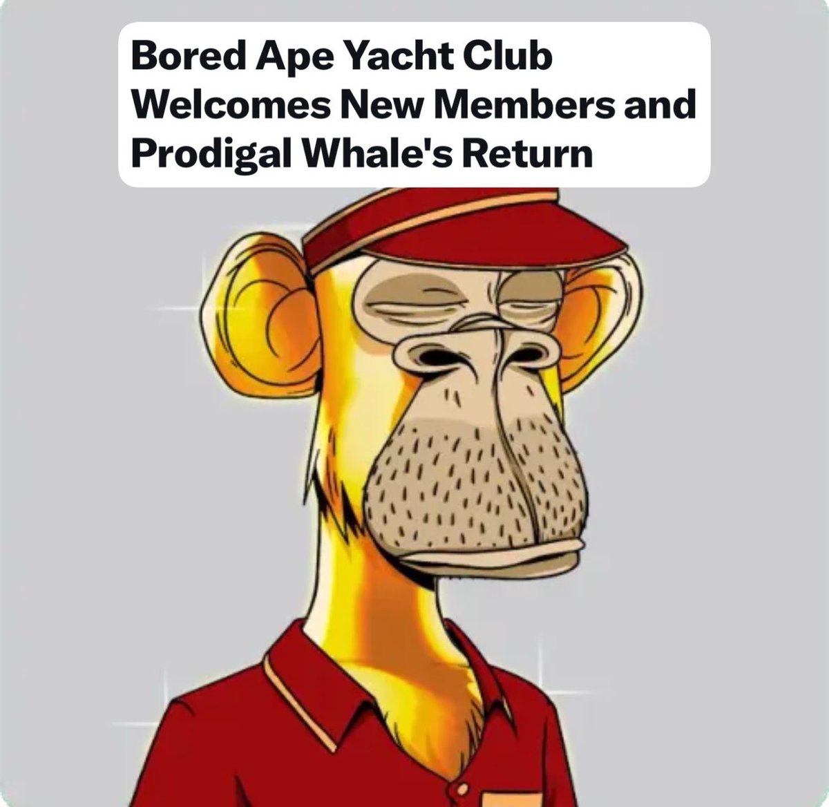 JBond tweet media