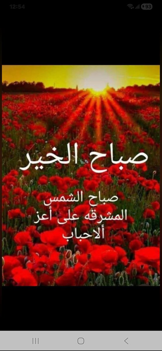 Hanadi Saadeh tweet media