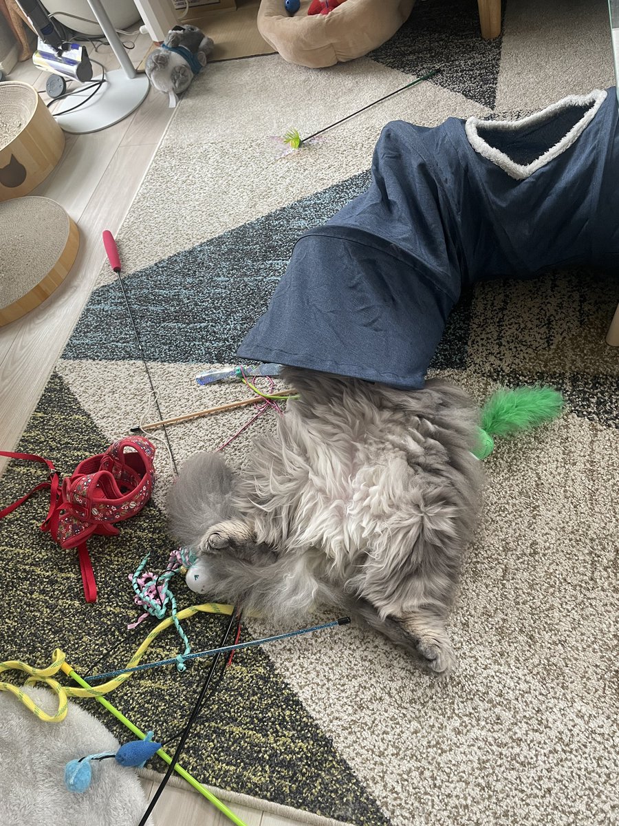 カフェ閉店後のシンマ（サブ） tweet media