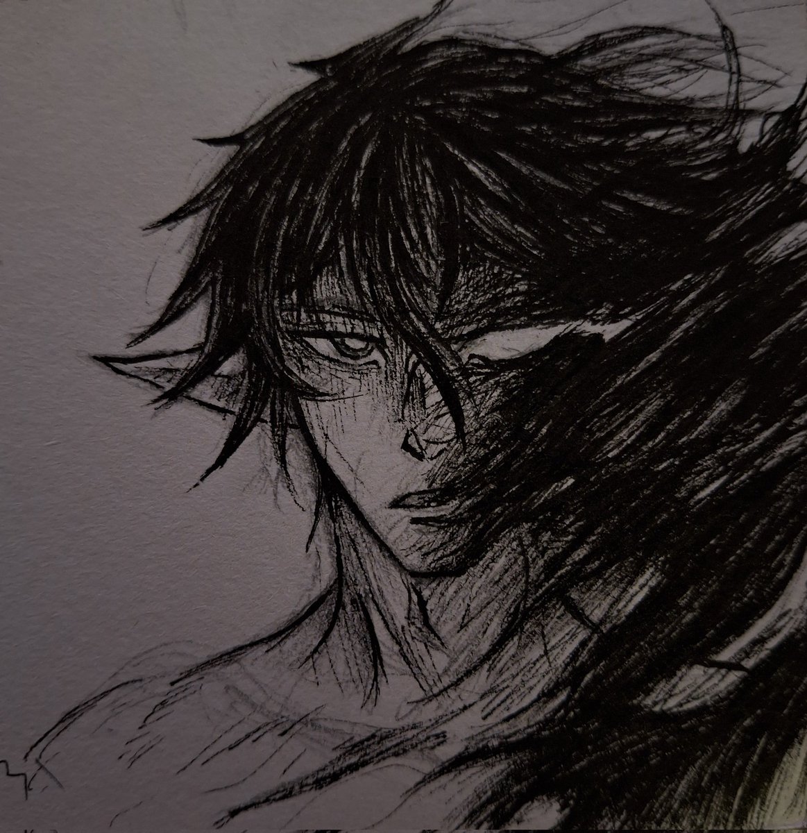 Columbina Hypothelenia tweet media