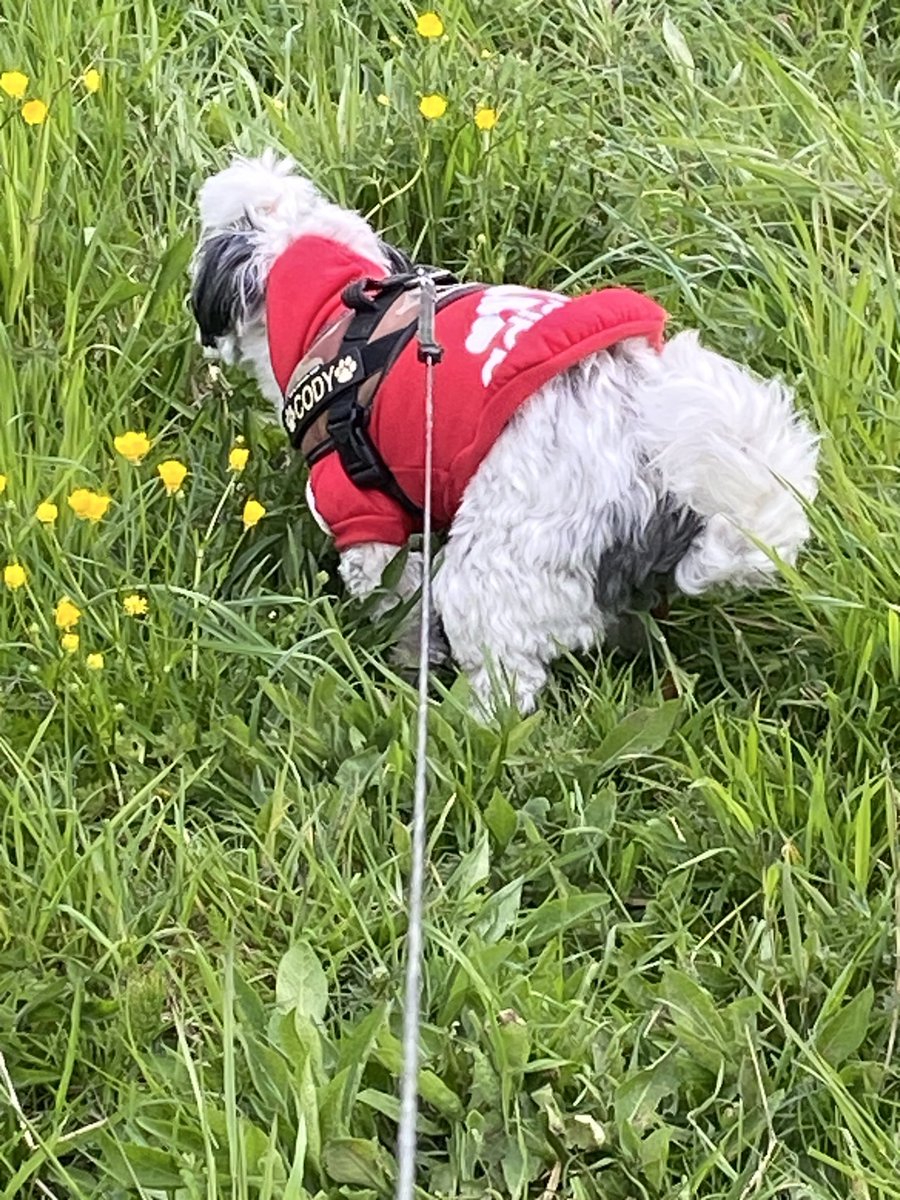 Rondje hondje 🐶🐾💩🌻