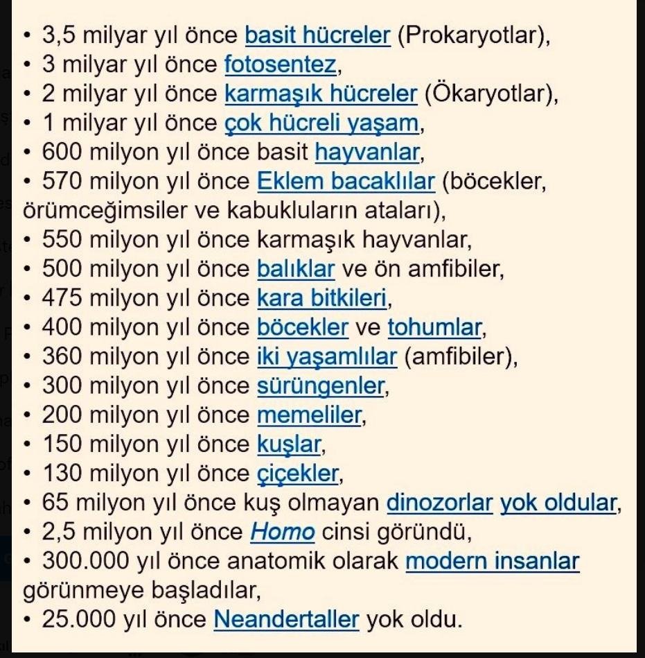 Selman (Prens Olmayan) tweet media