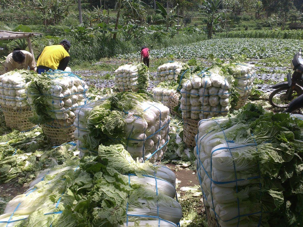 AbU JenaR tweet media