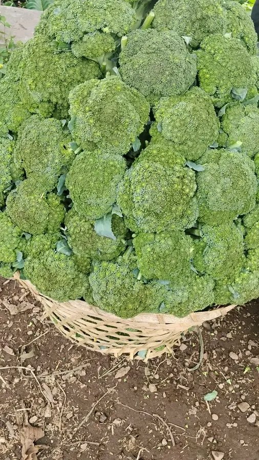 AbU JenaR tweet media