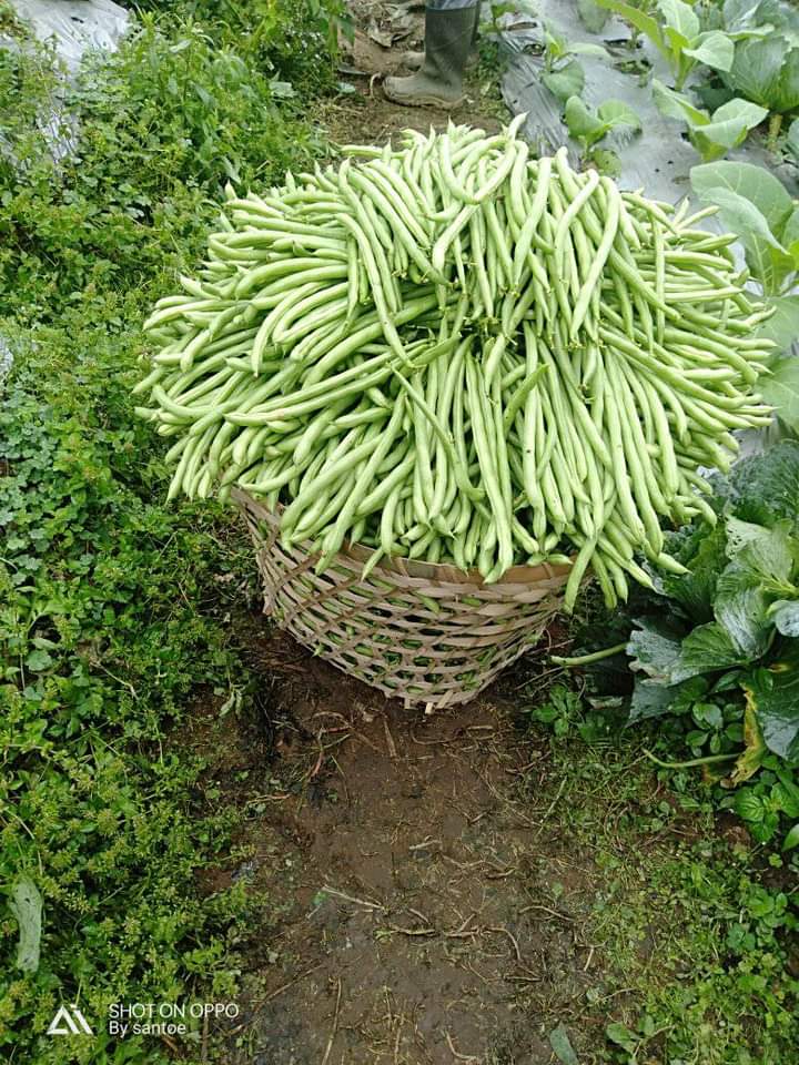 AbU JenaR tweet media