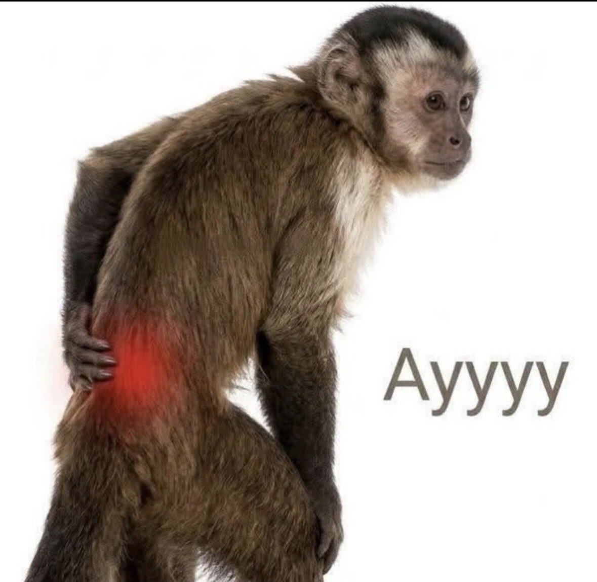 coolsymbols tweet media