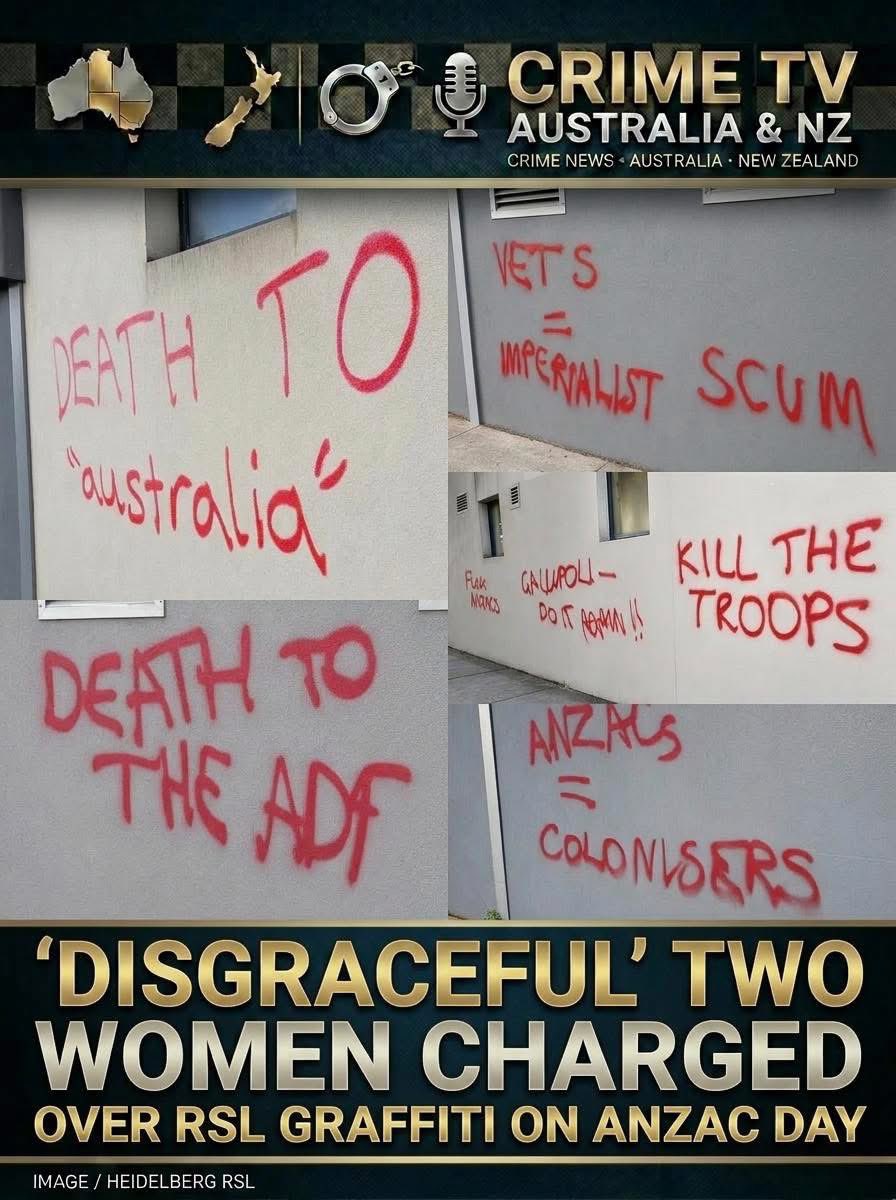 Somewherewithpaws tweet media