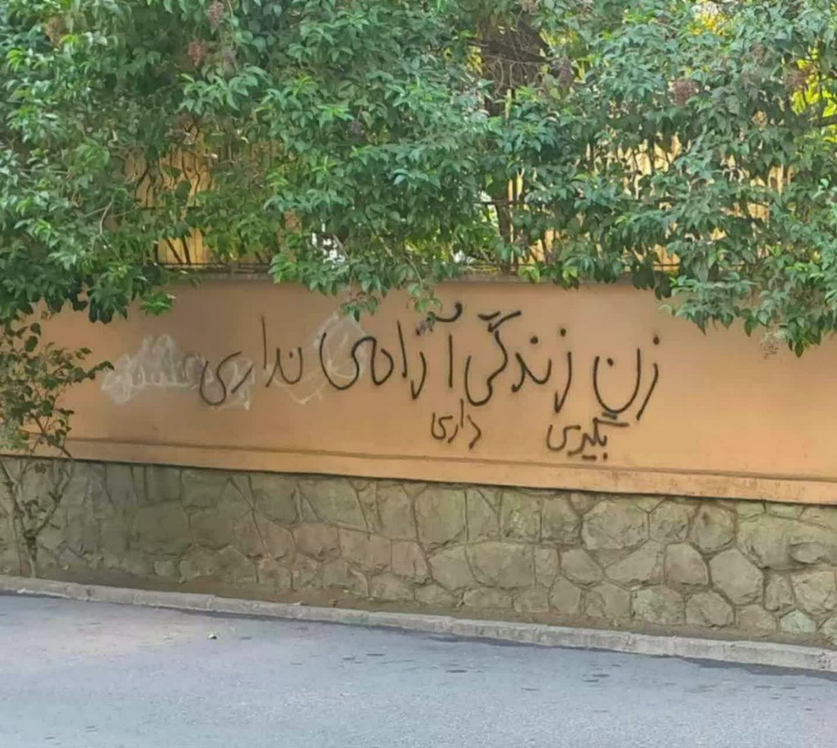 -خانـوم‌ِحُب tweet media