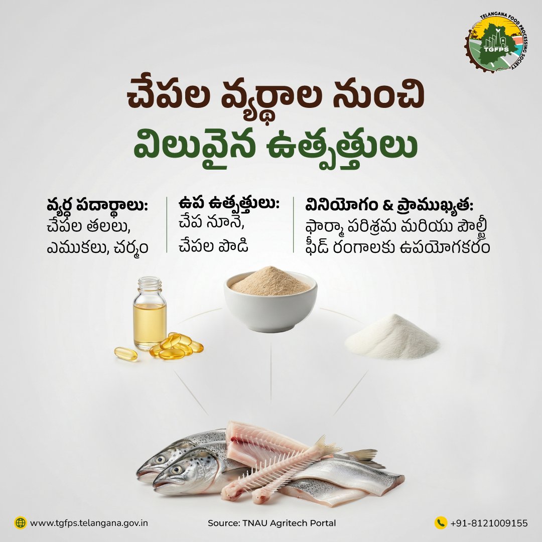 చేపల ఉప ఉత్పత్తులు ఆహారం మాత్రమే కాకుండా ఇతర పరిశ్రమలకు కూడా ఉపయోగపడుతున్నాయి. 
వాటిని తెలుసుకోండి! 

#FishByProducts #BlueEconomy #Aquaculture #FishIndustry #MarineLife #EcoFriendly #FishOil #DidYouKnow #BioProducts #TGFPS #FoodProcessing