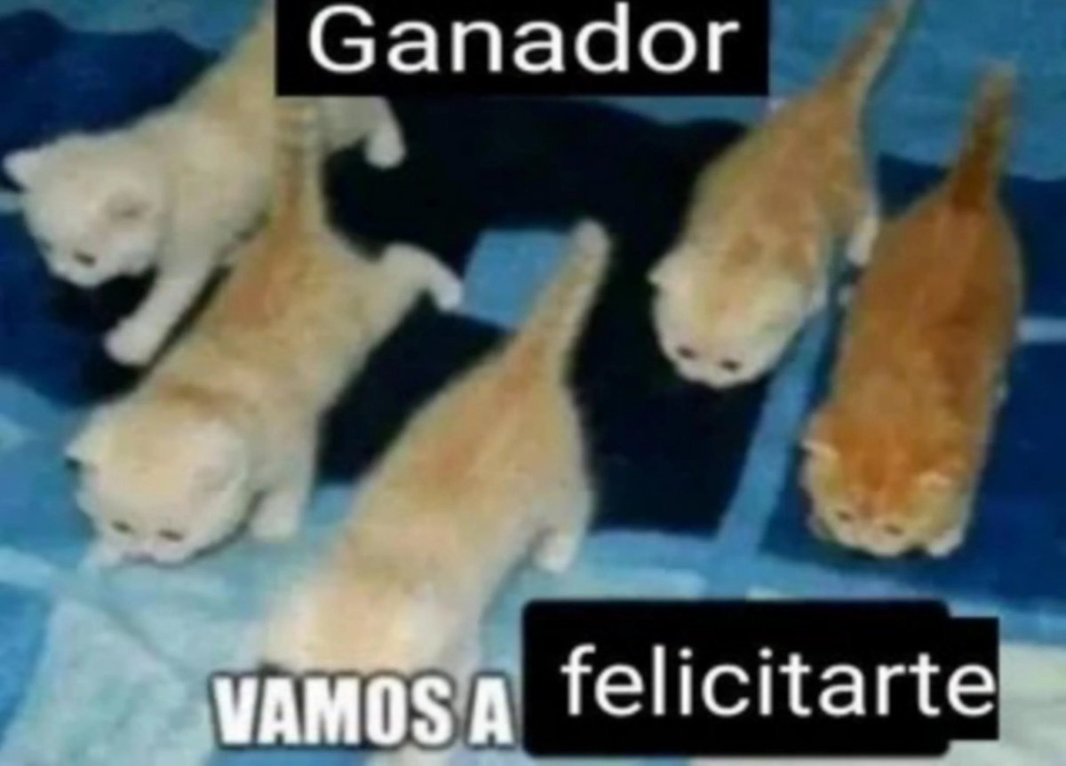 moonchild tweet media