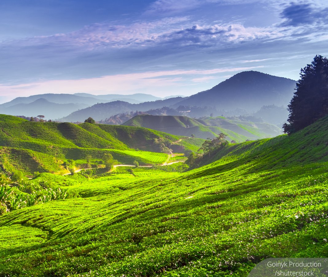 BFM News tweet media