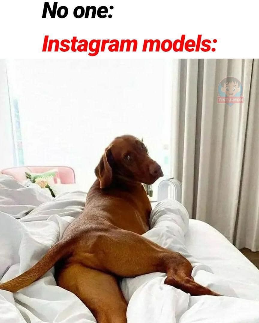 theshitposthero's tweet image. You like that?  #shitpost #dankmemes #memes