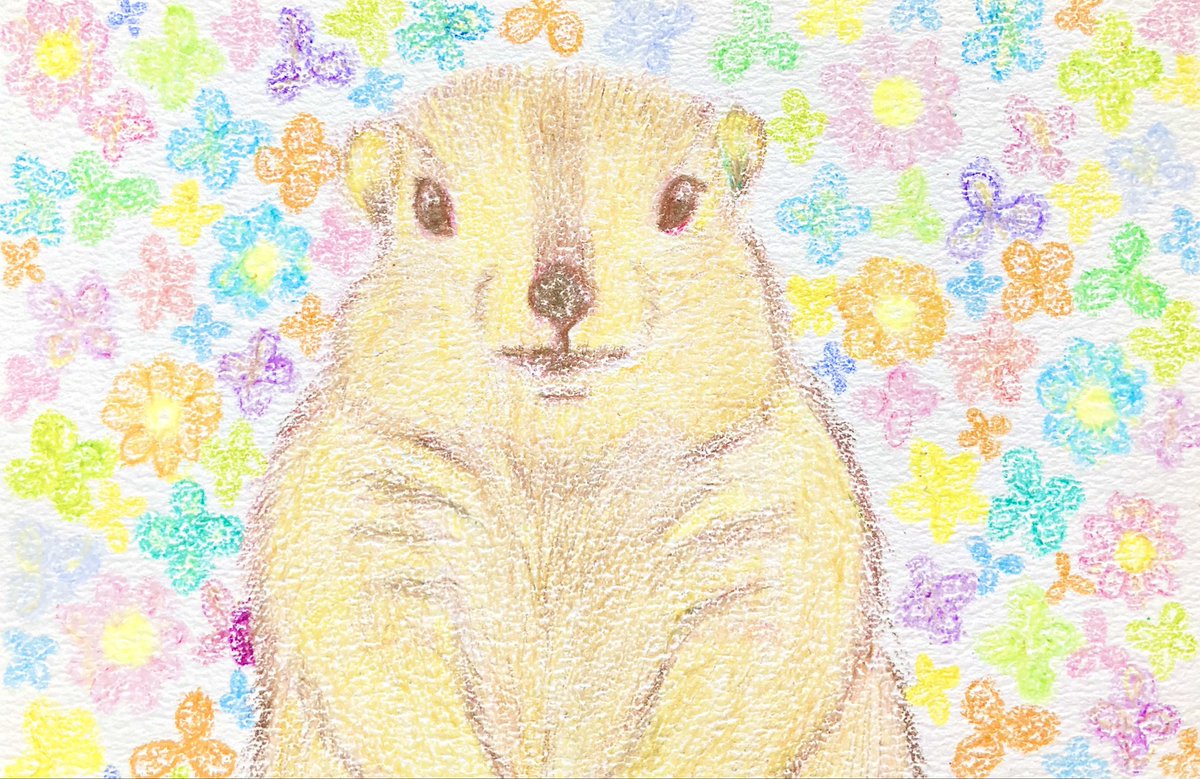 hocioto's tweet photo. 楽しいGWが過ごせますように⭐︎

#イラスト
 #絵
 #動物
 #マーモット
 #hocioto https://t.co/wQrI3tYUEi