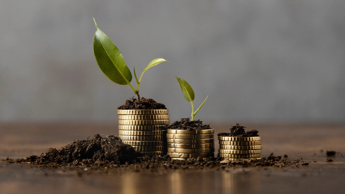 🎯 𝐐𝐔𝐈 𝐈 𝐃𝐈𝐑𝐈𝐓𝐓𝐈  🛟🧓 👩‍🦱
#TRFFondoTesoreria ecco le scadenze e il calcolo soglia dimensionale per #datoridilavoroagricoli
🟢 LEGGI QUI👇
quiidiritti.it/article/trf-fo… <a href="/Cia_Agricoltura/">Cia-Agricoltori Italiani</a> <a href="/MastrocinqueAle/">Ale Mastrocinque</a> <a href="/r_romolo/">ROMOLO ESPOSITO</a> <a href="/OraziManuel/">Manuel Orazi</a> <a href="/INPS_it/">INPS</a>
