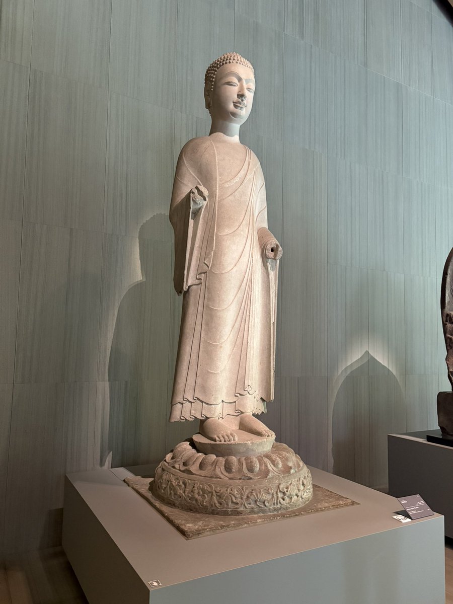 Edward Scheckler JK1BIB/AC9XE tweet media