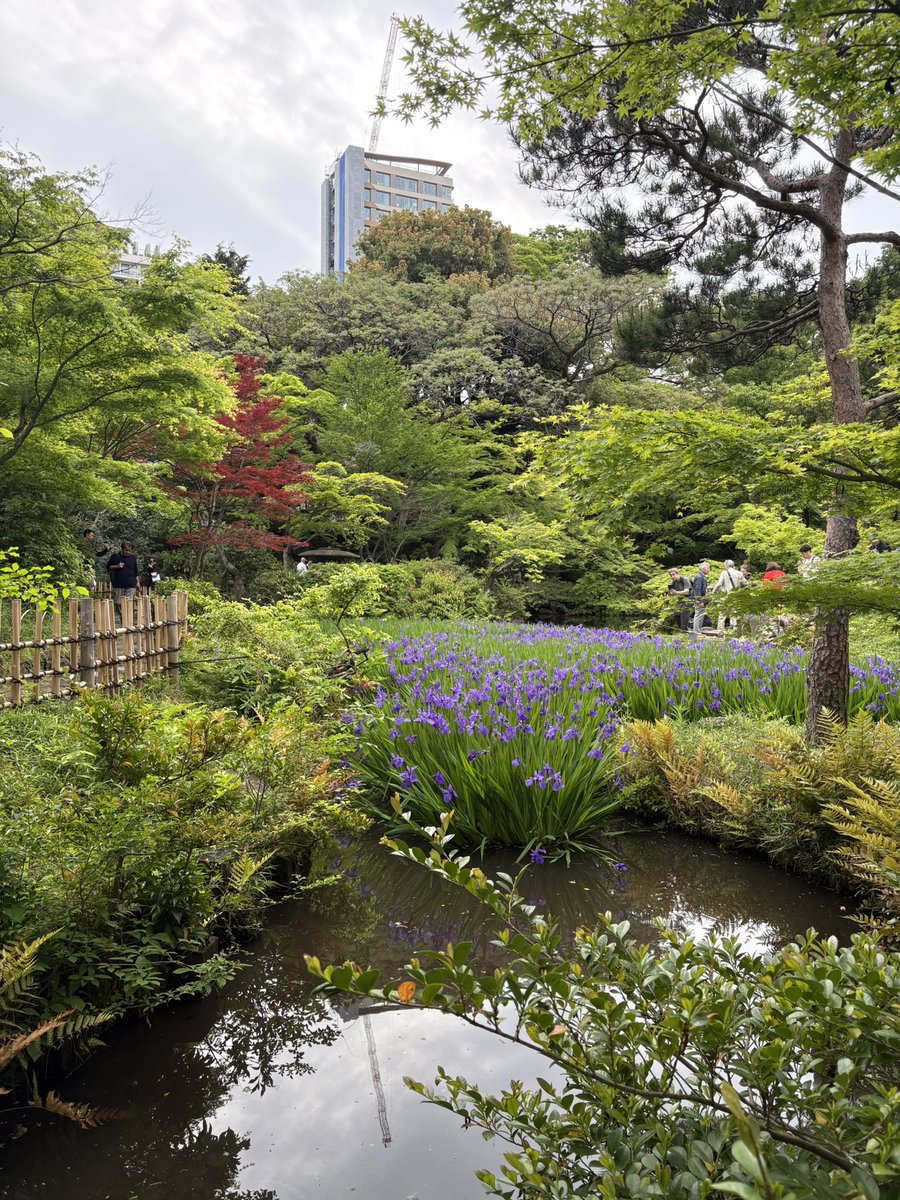 Edward Scheckler JK1BIB/AC9XE tweet media