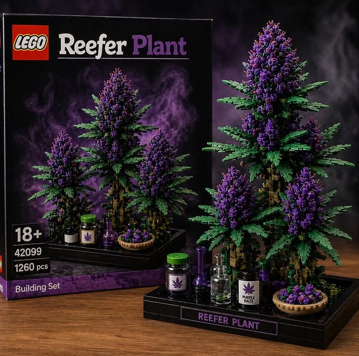Artek Swaróg🌿💨🇵🇱 tweet media
